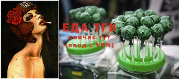 индика Лихославль