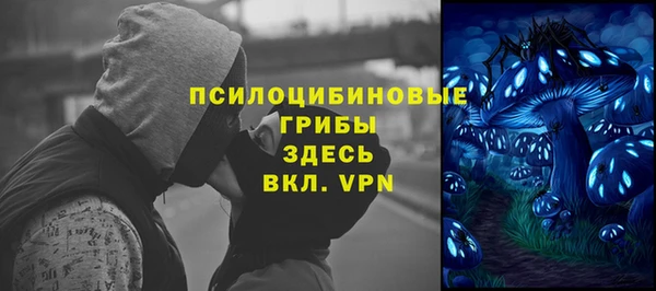 шишки Магас