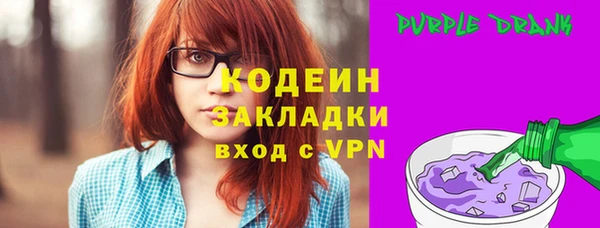 шишки Магас