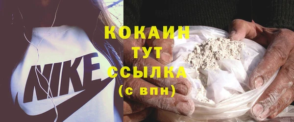 шишки Магас
