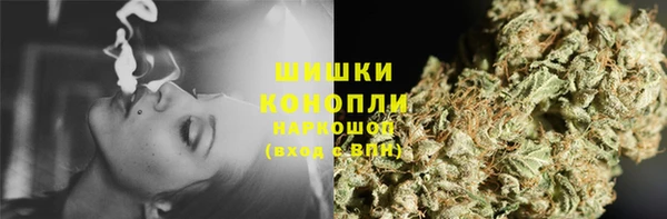 шишки Магас