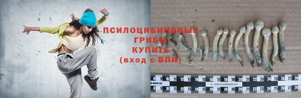 шишки Магас