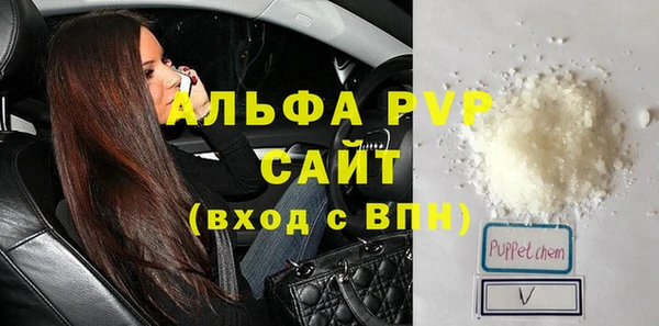 шишки Магас