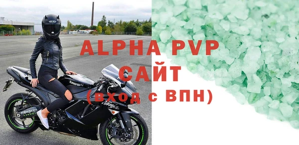 шишки Магас