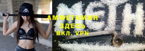 шишки Магас