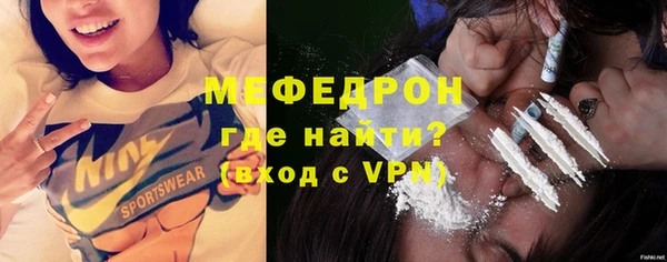 шишки Магас