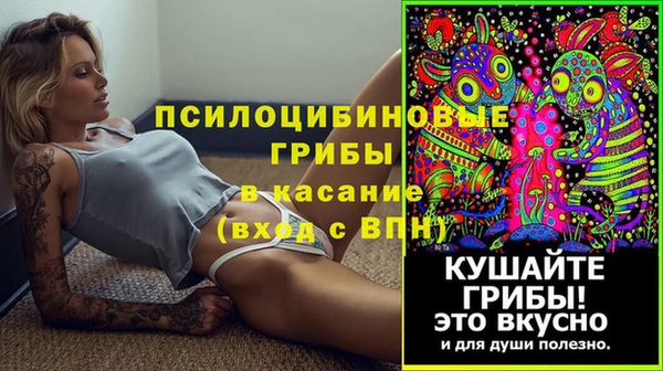 хмурый Майский