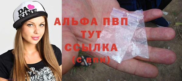 шишки Магас