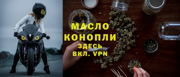 шишки Магас