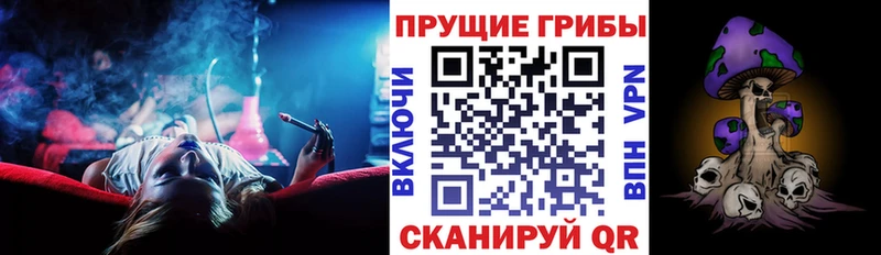 Галлюциногенные грибы мицелий  как найти наркотики  Чехов 