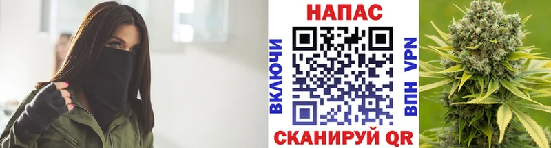 KRAKEN tor  Чехов  Конопля ГИДРОПОН 